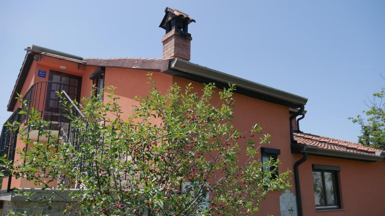 Apartment Kornarija Buje Exterior foto